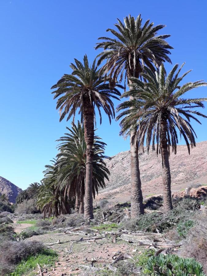 Villa La Pradera Antigua  Esterno foto